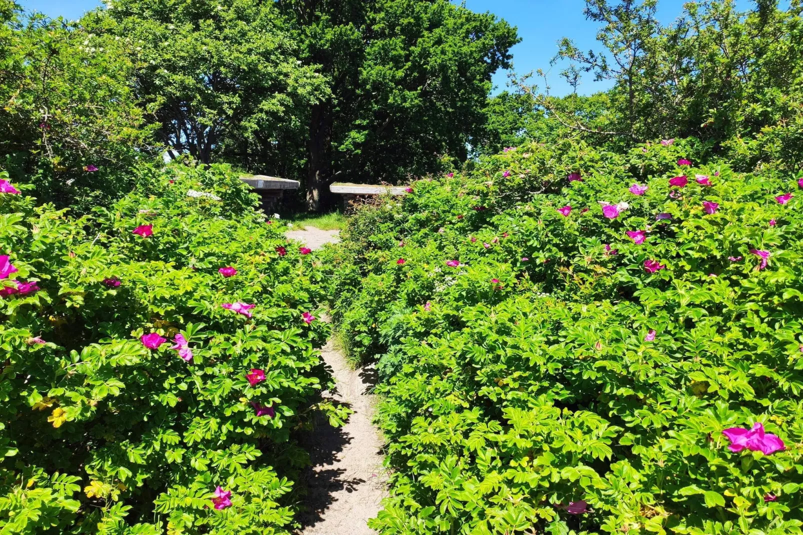 Maison de vacances pour 6 a Sjølund-By Traum