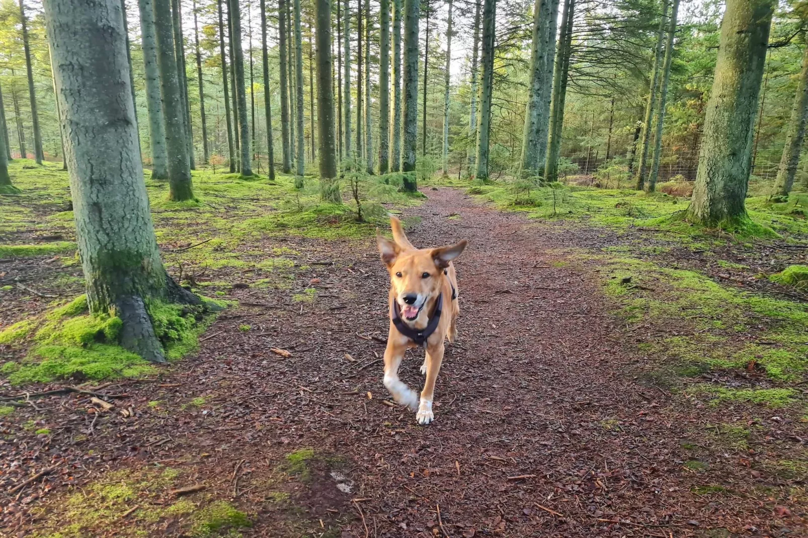 Maison de vacances pour 6 a Ålbæk-Non tagué