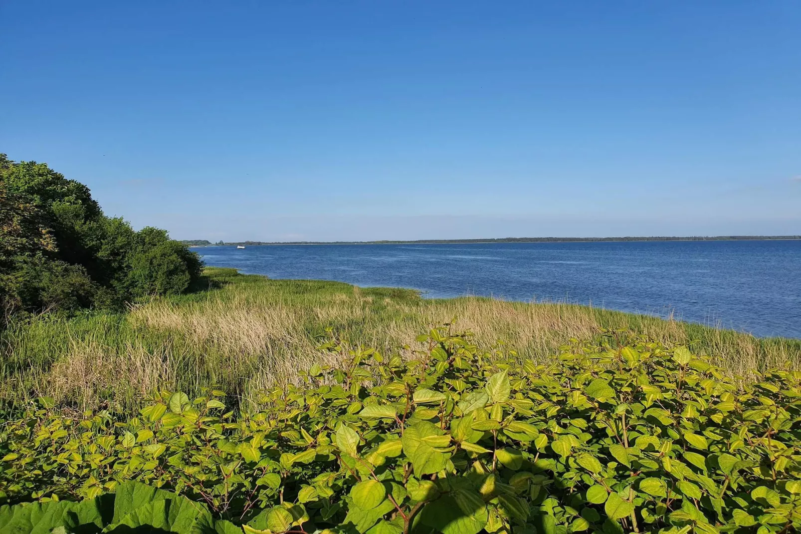 Seaside Escape in Praesto - By Traum Ferienwohnungen-Untagged