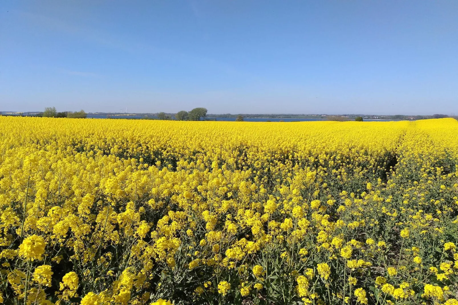 Maison de vacances pour 8 a Sydals-By Traum-Non tagué
