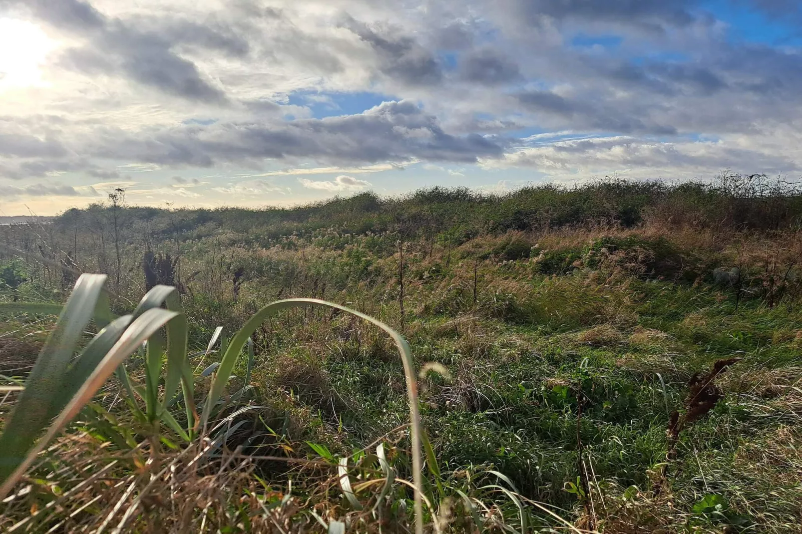 6 person holiday home in Kalundborg-By Traum