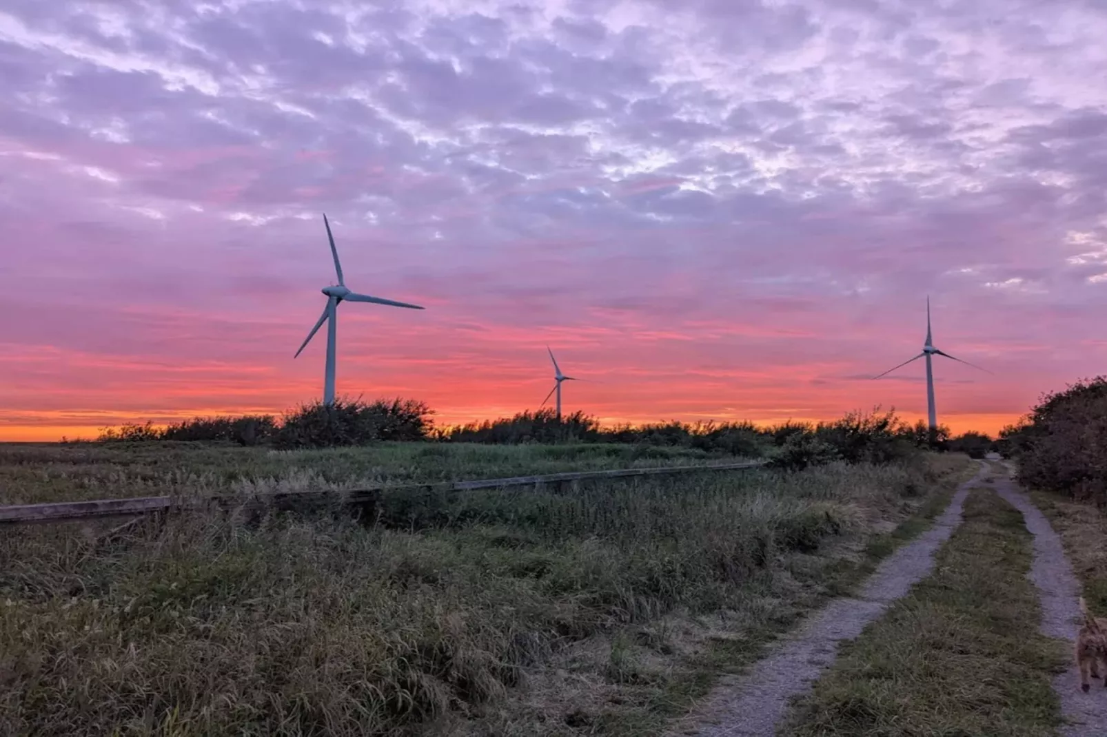 Maison de vacances pour 2 a FALKENBERG-By Traum