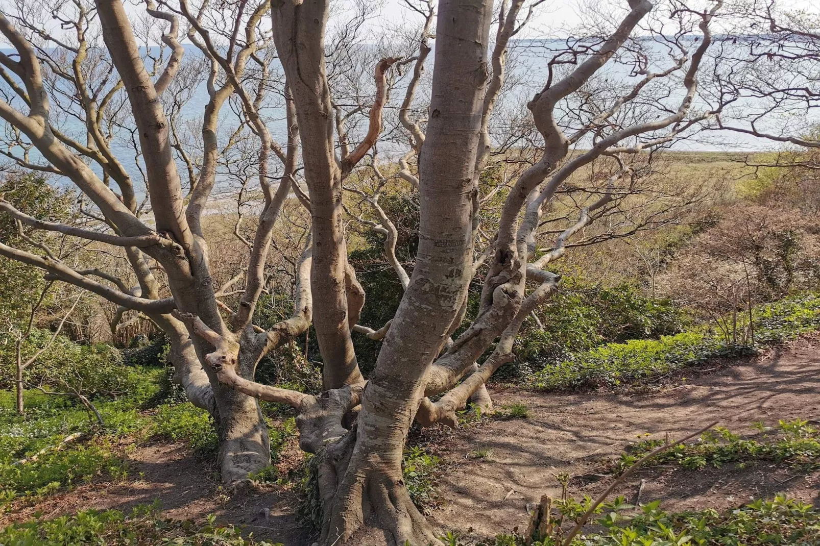8 Personen Ferienhaus in Ebeltoft-By Traum