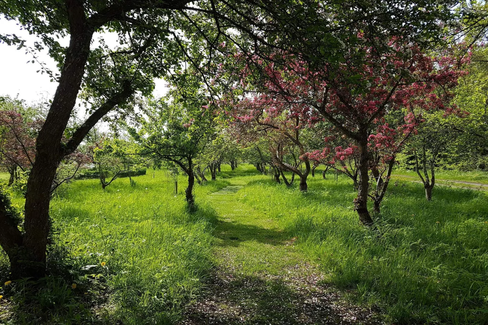 8 person holiday home in Sæby-By Traum