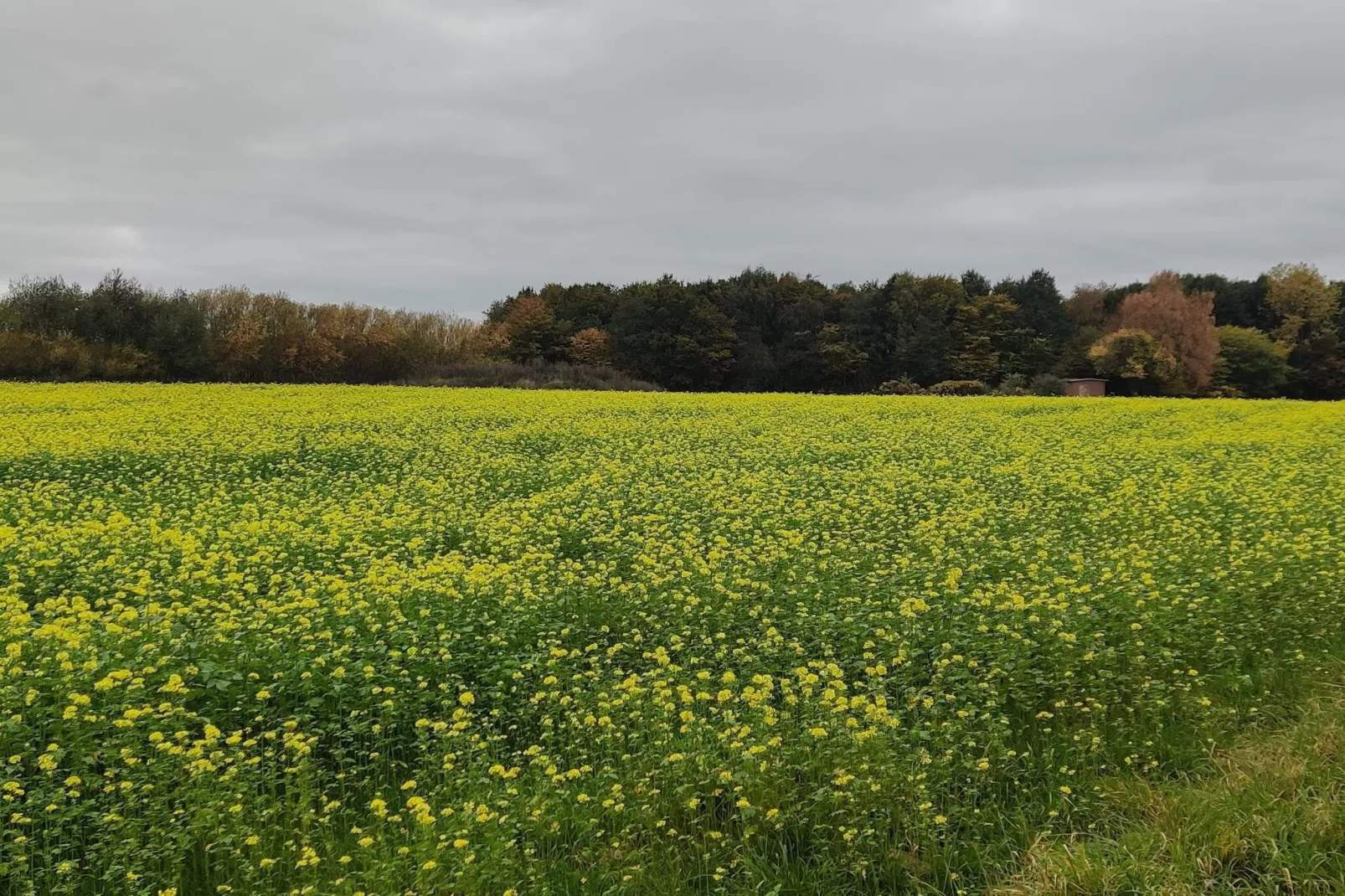 4 person holiday home in Stege-By Traum