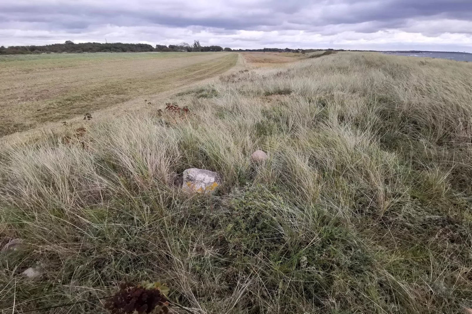 6 person holiday home in Dannemare-By Traum