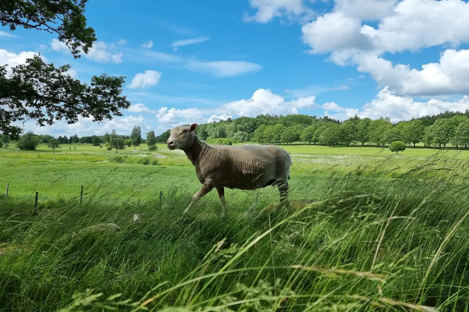 4 Personen Ferienhaus in TORSHÄLLA-By Traum