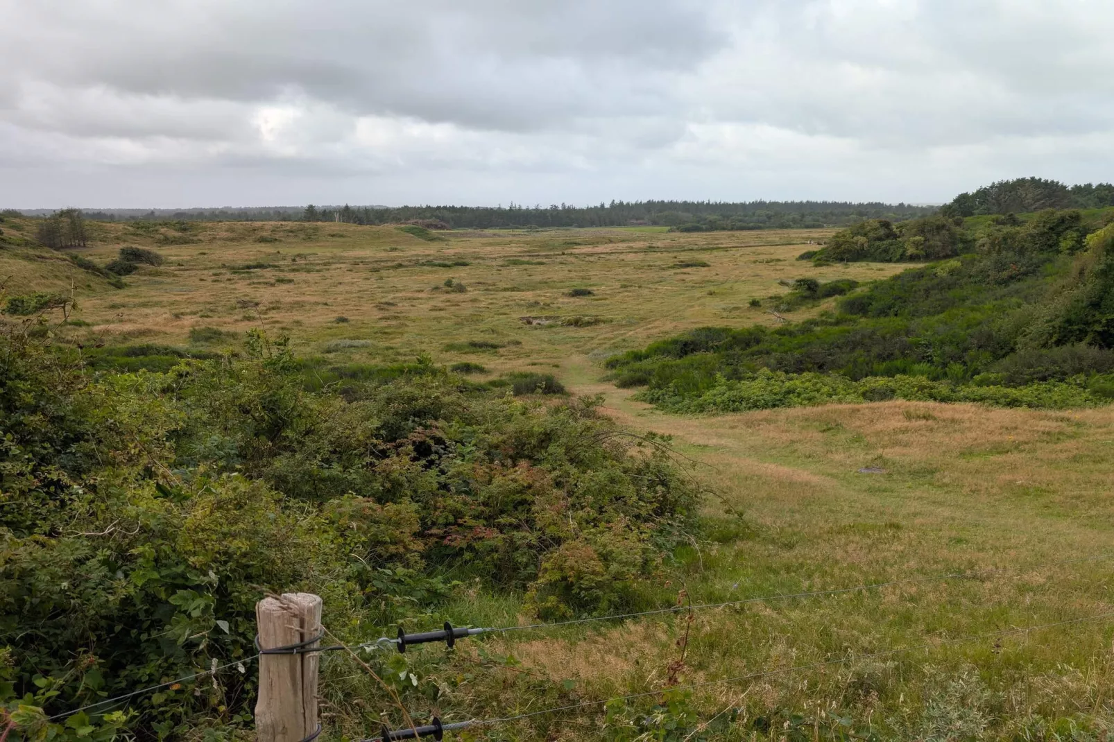 8 Personen Ferienhaus in Saltum-By Traum