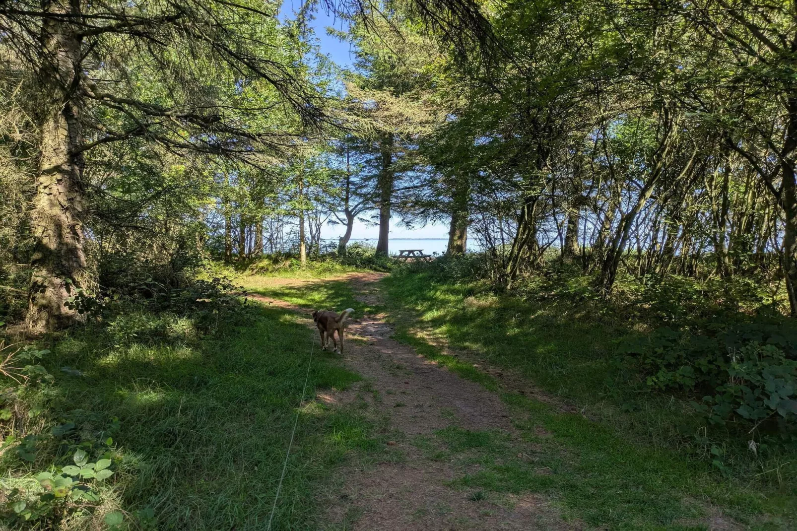 6 person holiday home in Ulfborg-By Traum