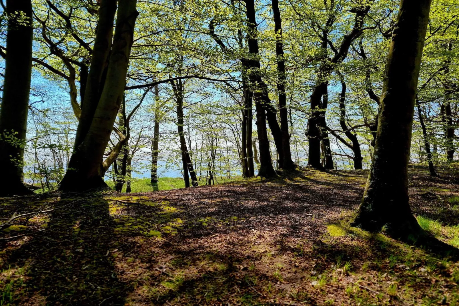 4 Personen Ferienhaus in Faxe Ladeplads-By Traum-Nicht zugeordnet