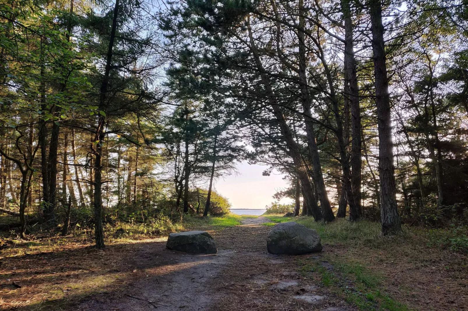 3 Personen Ferienhaus in Esbjerg V-By Traum-Im Freien