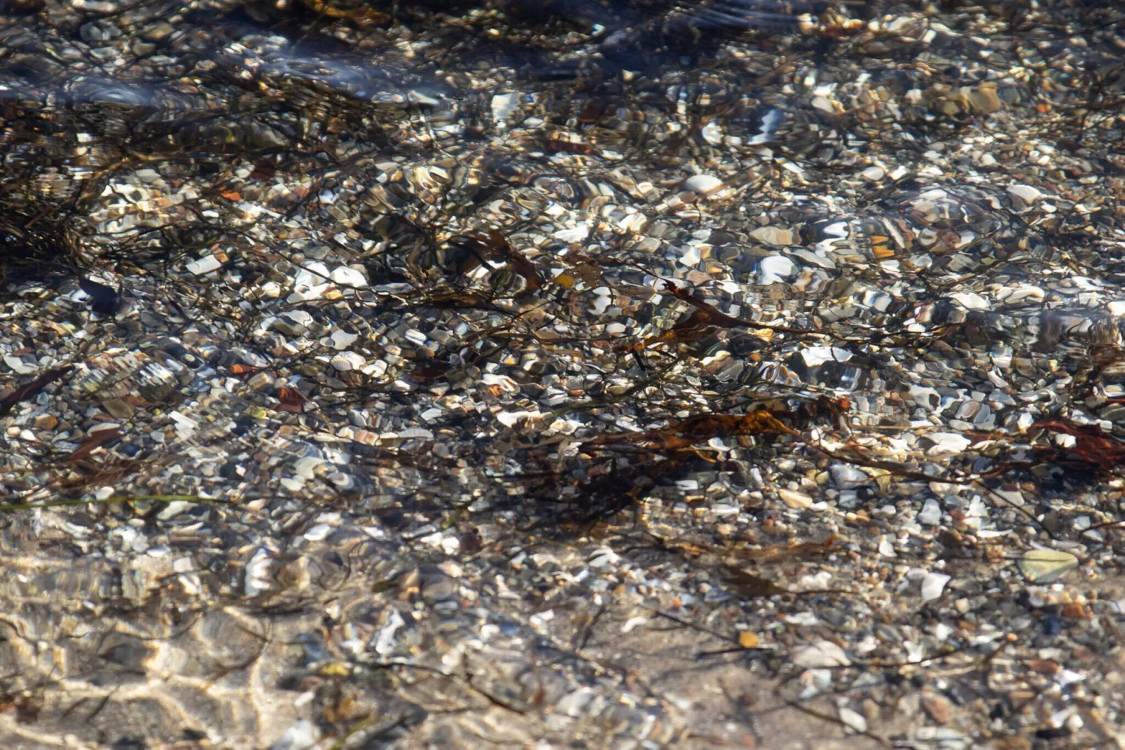 Gemutliches Refugium in Binderup -- By Traum Ferienwohnungen