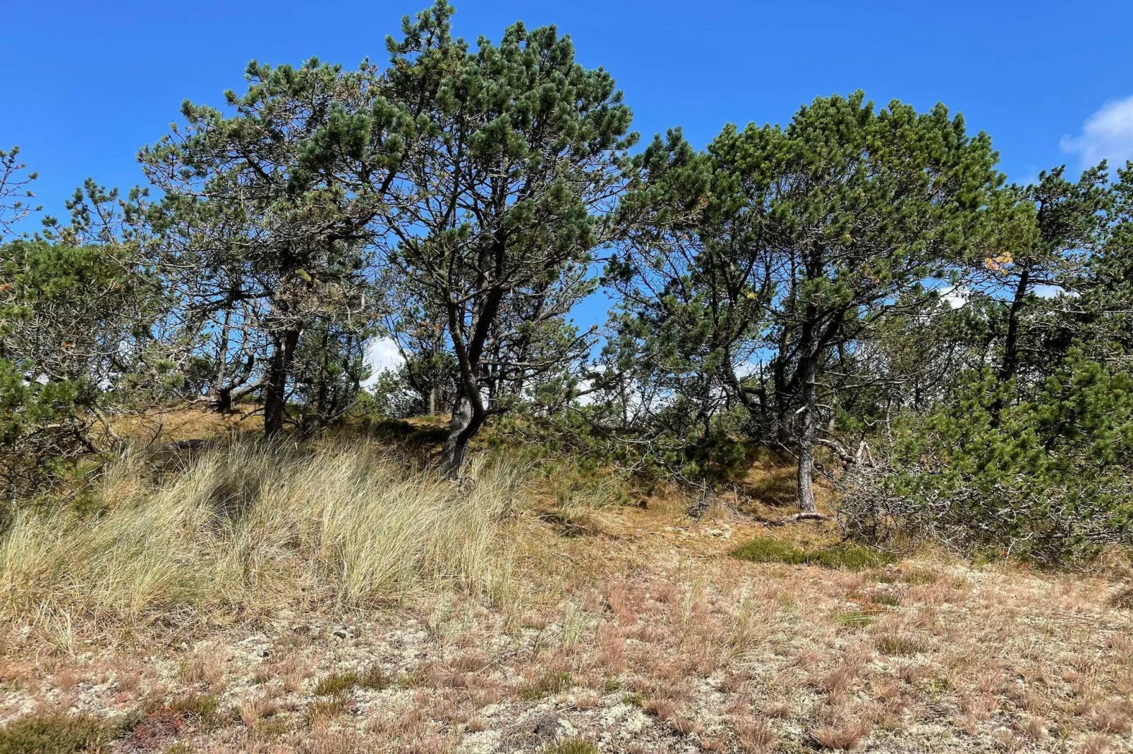 Maison de vacances pour 6 a Nørre Nebel-By Traum-Non tagué
