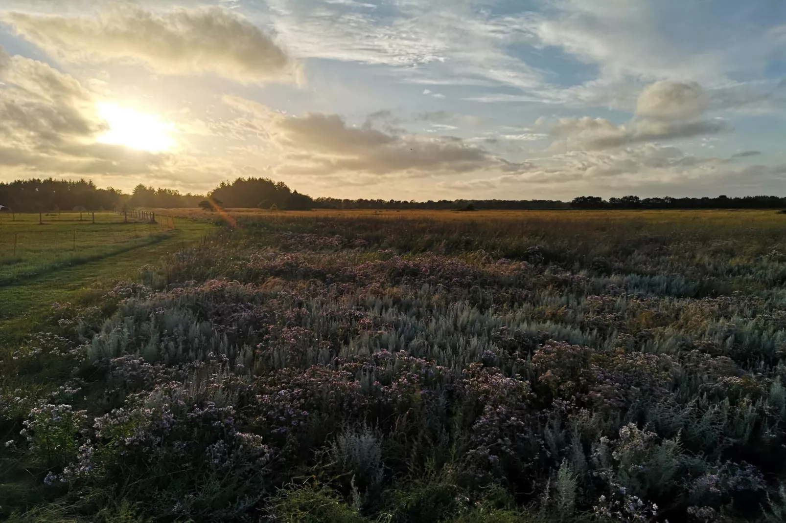 Maison de vacances pour 6 a Asaa-By Traum-Non tagué
