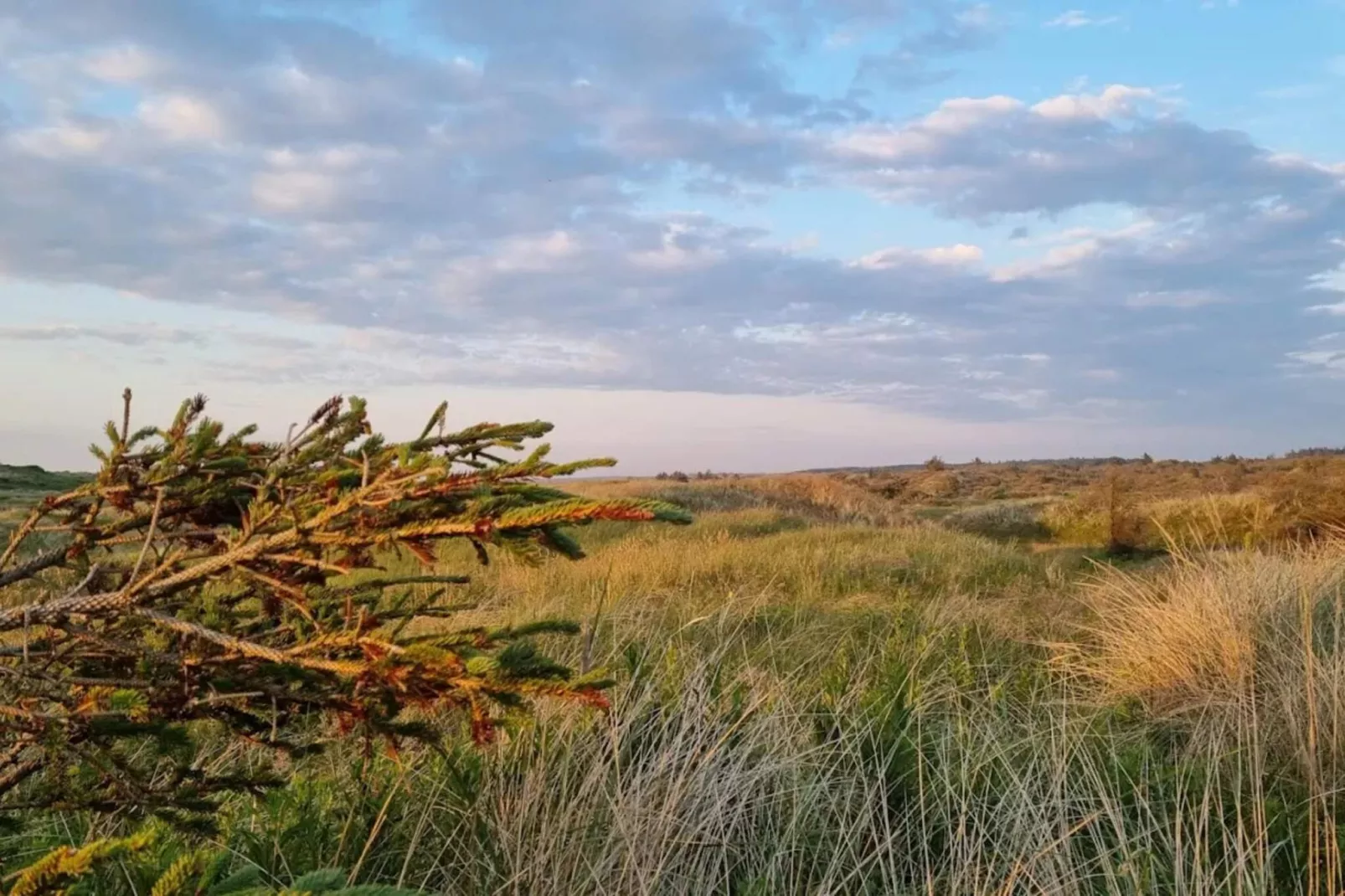 Maison de vacances pour 12 a Thisted-By Traum