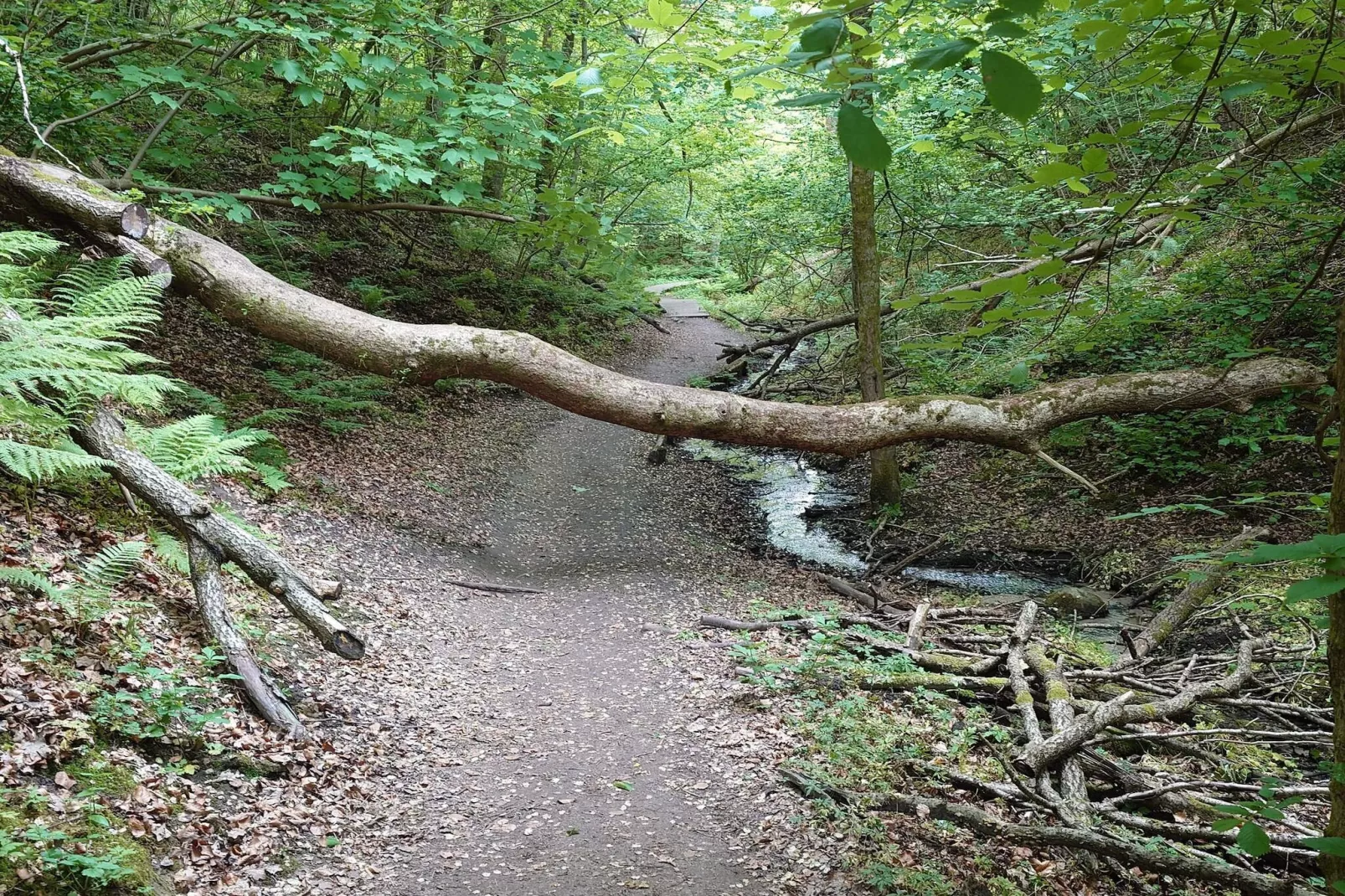 8 person holiday home in Brovst-By Traum-Untagged