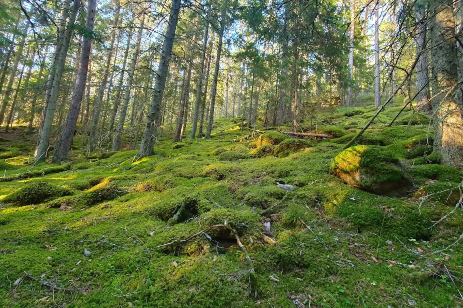 7 Personen Ferienhaus in BRUZAHOLM-By Traum-Nicht zugeordnet