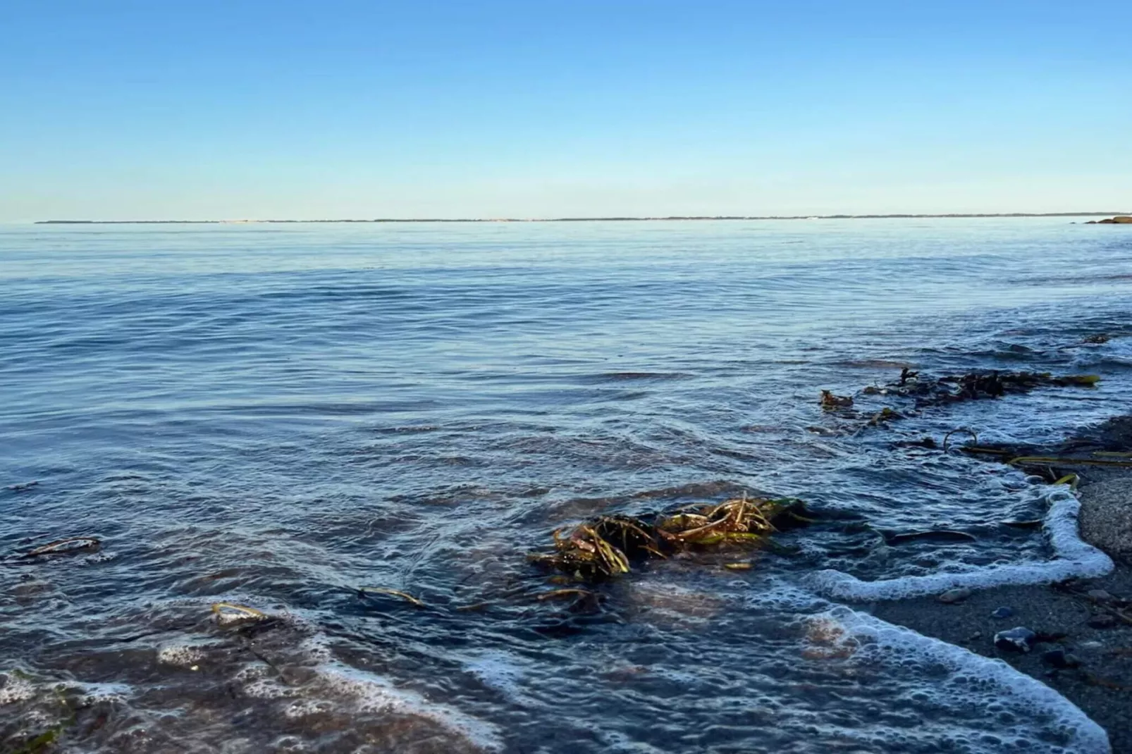 8 person holiday home in Otterup-By Traum