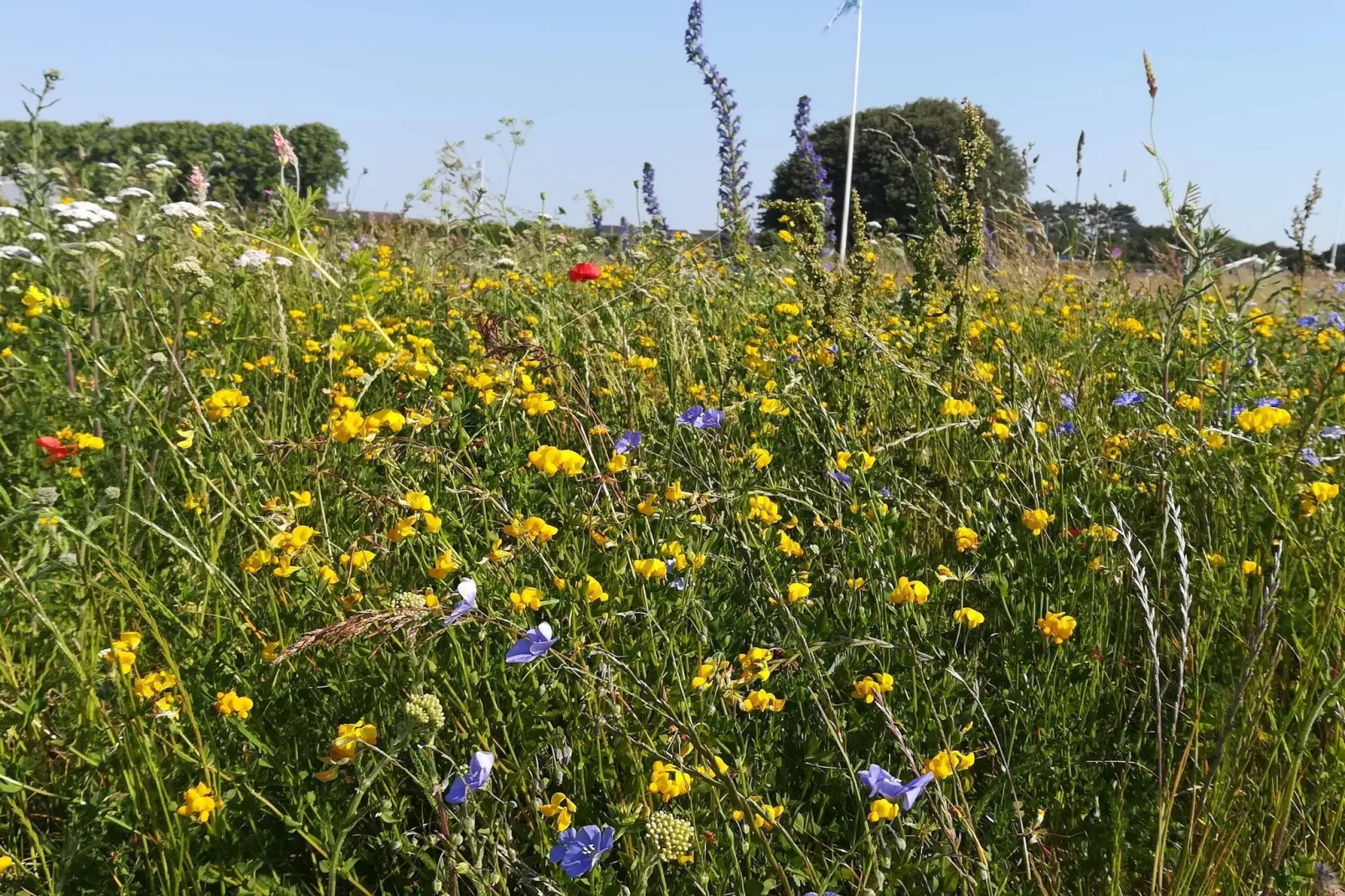 4 Personen Ferienhaus in Nakskov-By Traum