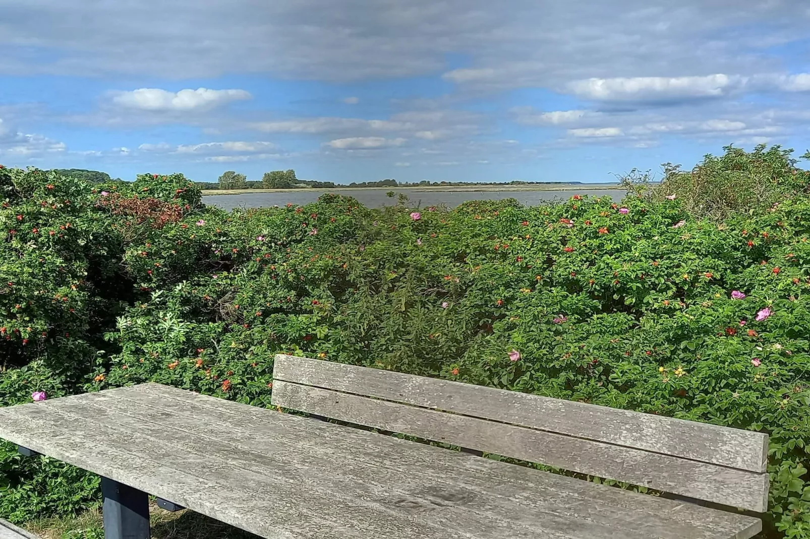 Maison de vacances pour 10 a Haderslev-By Traum