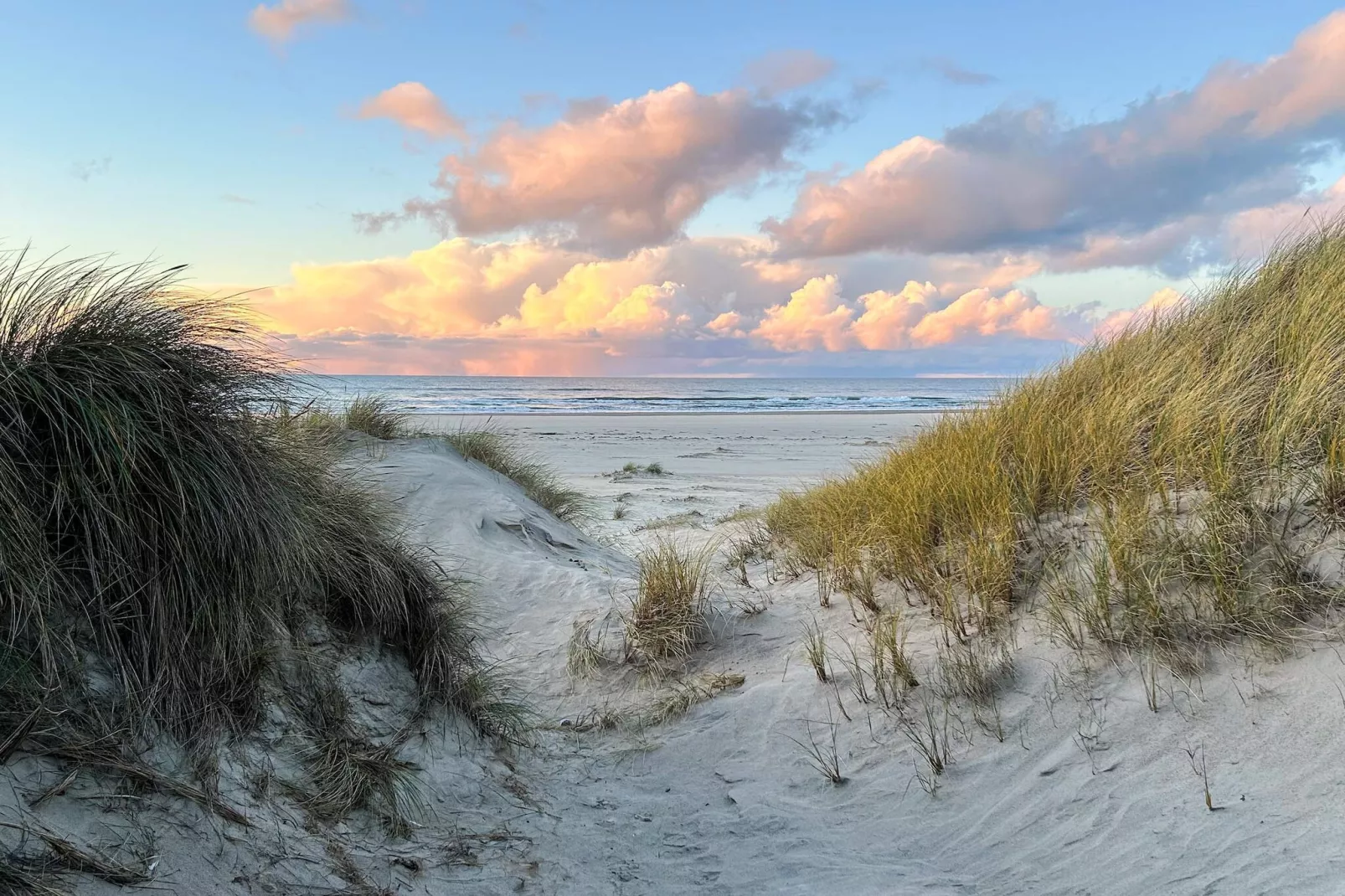 8 Personen Ferienhaus in Blokhus-By Traum