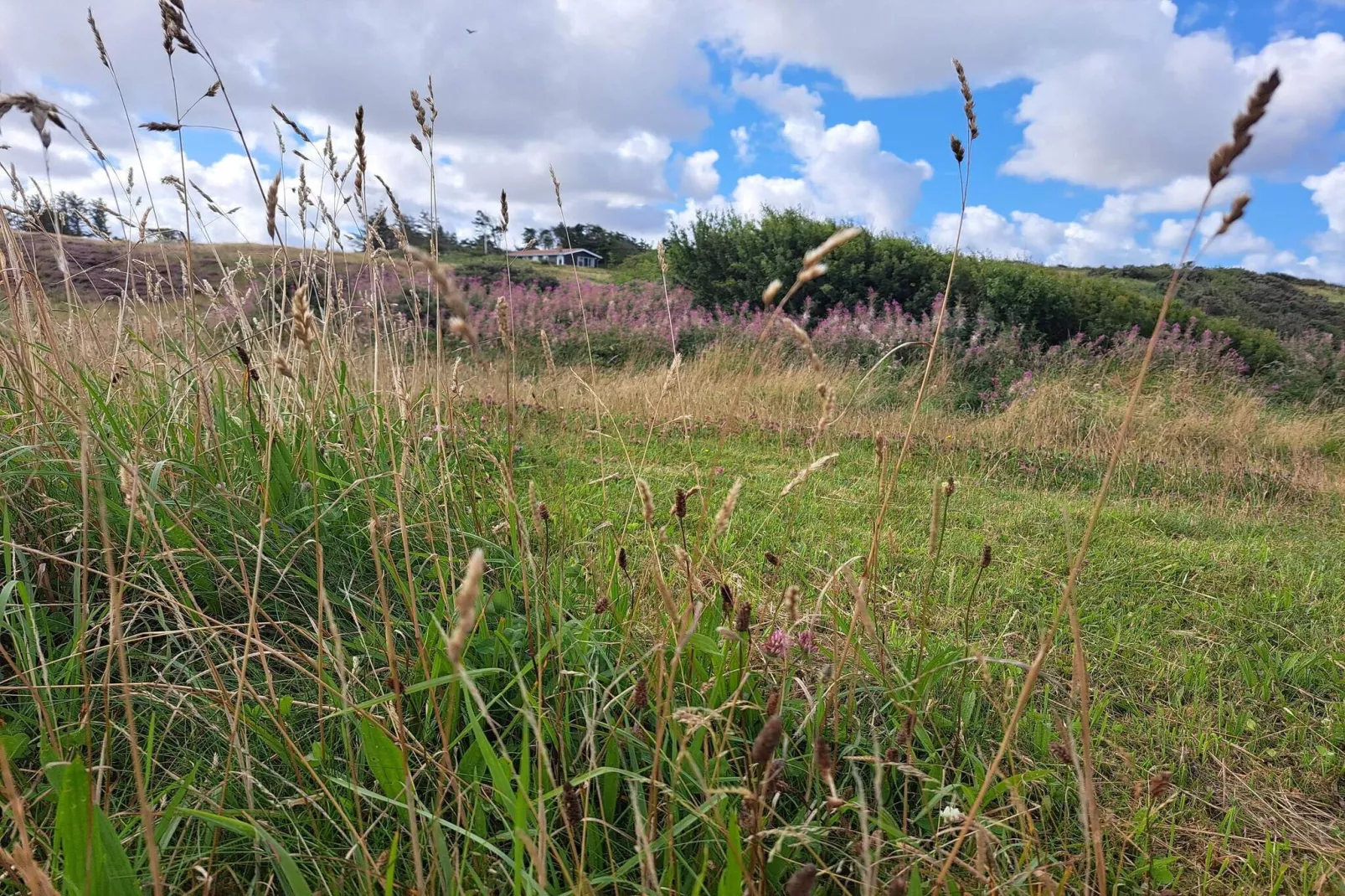 8 person holiday home in Struer-By Traum-Untagged