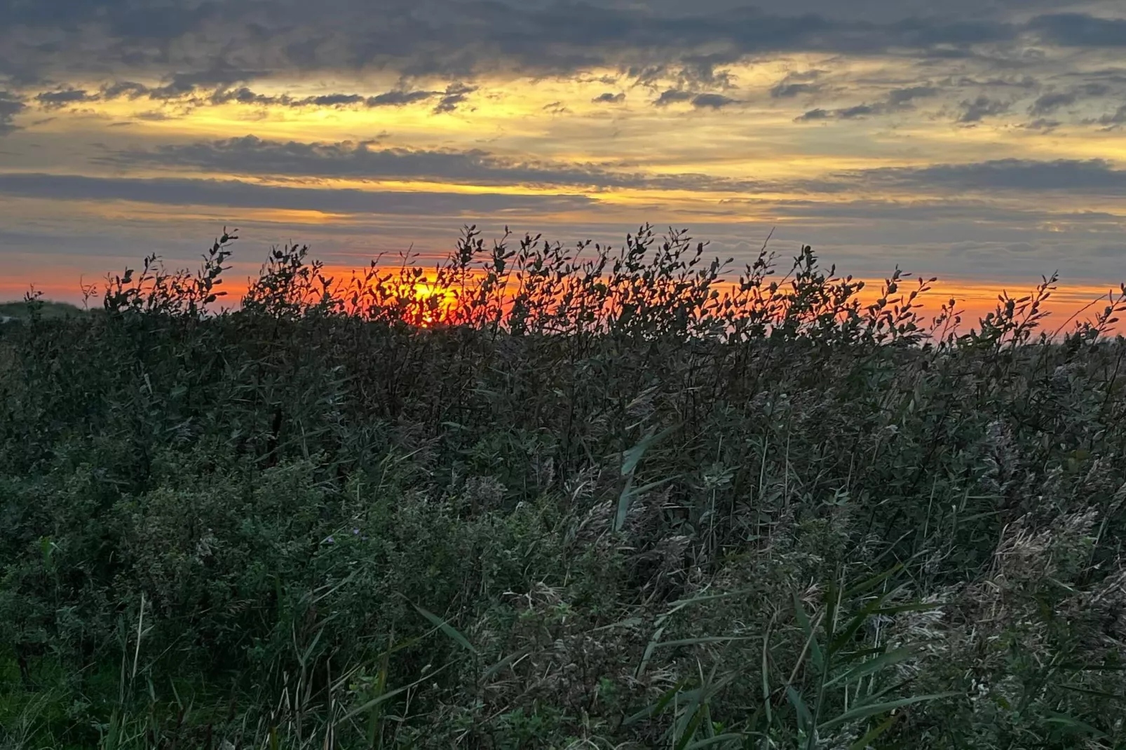 Maison de vacances pour 4 a Ebeltoft-By Traum