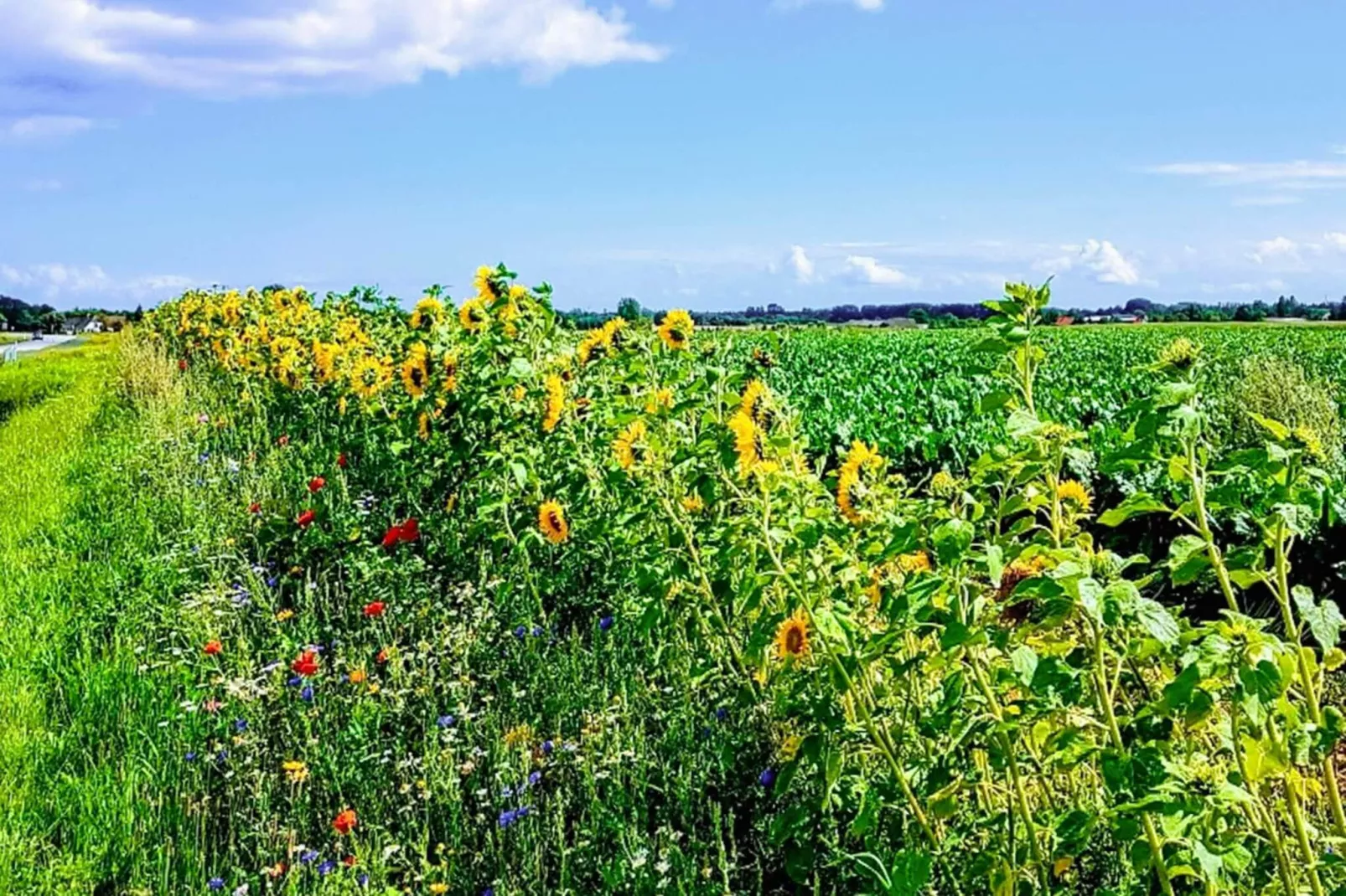 Ruhiger Strandurlaub - Von Traum