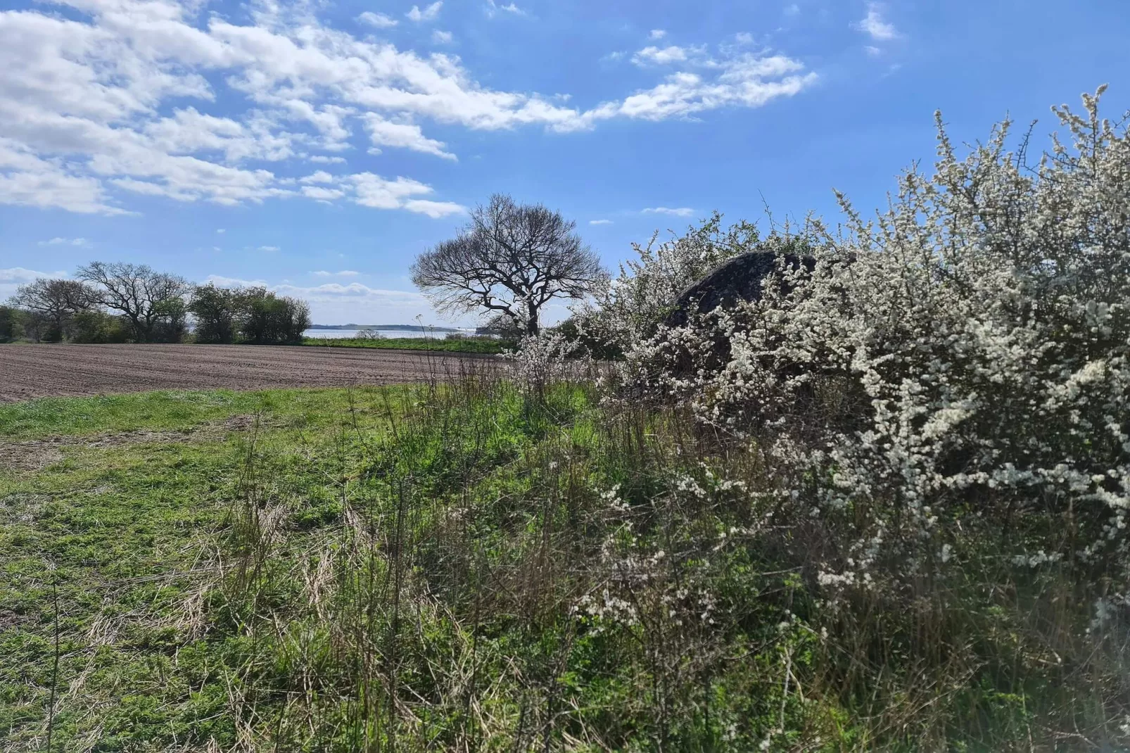 6 person holiday home in Haarby-By Traum-Water view