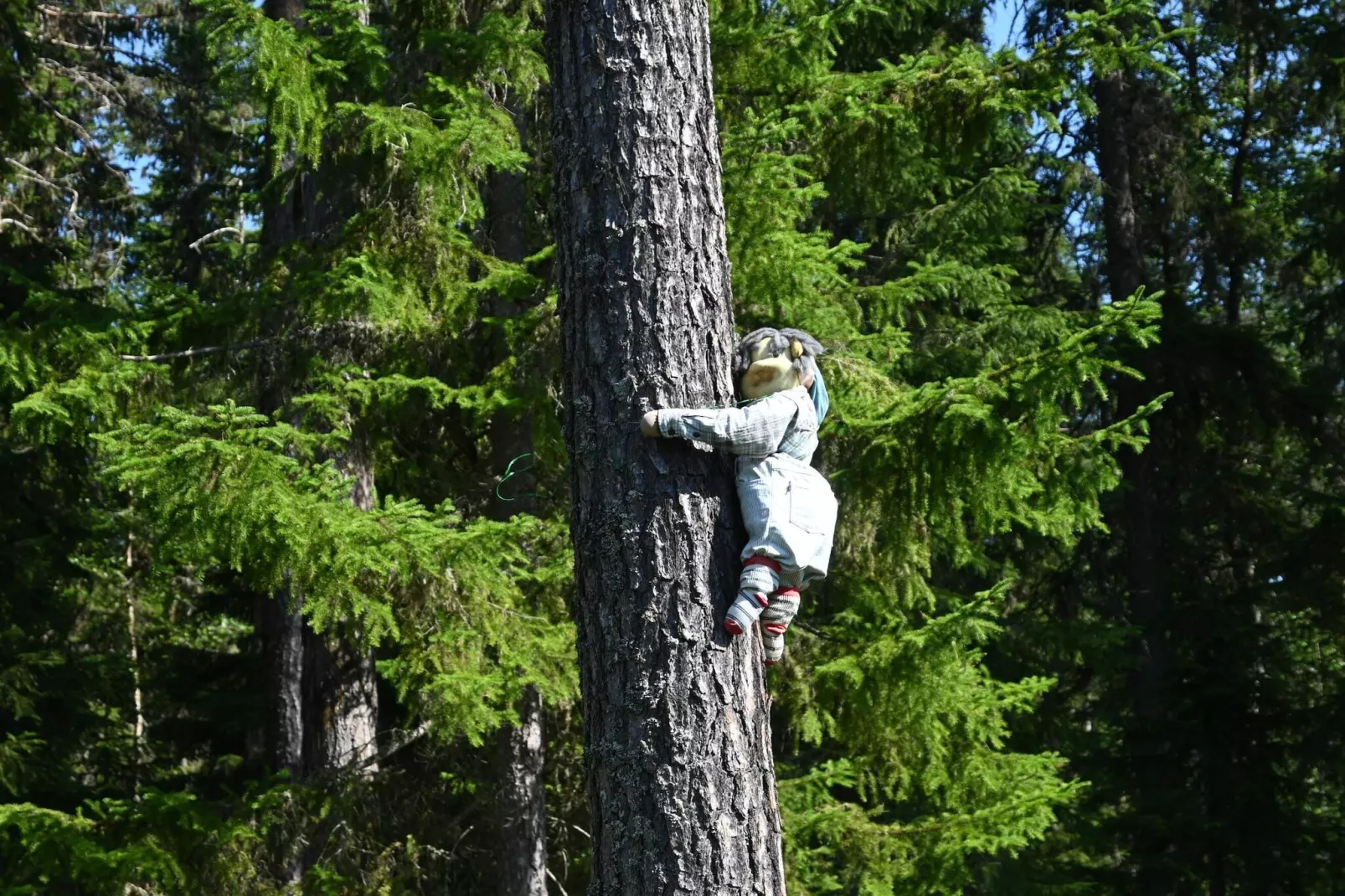 Rotes Bauernhaus in der Nähe von Forsheda-Nicht zugeordnet