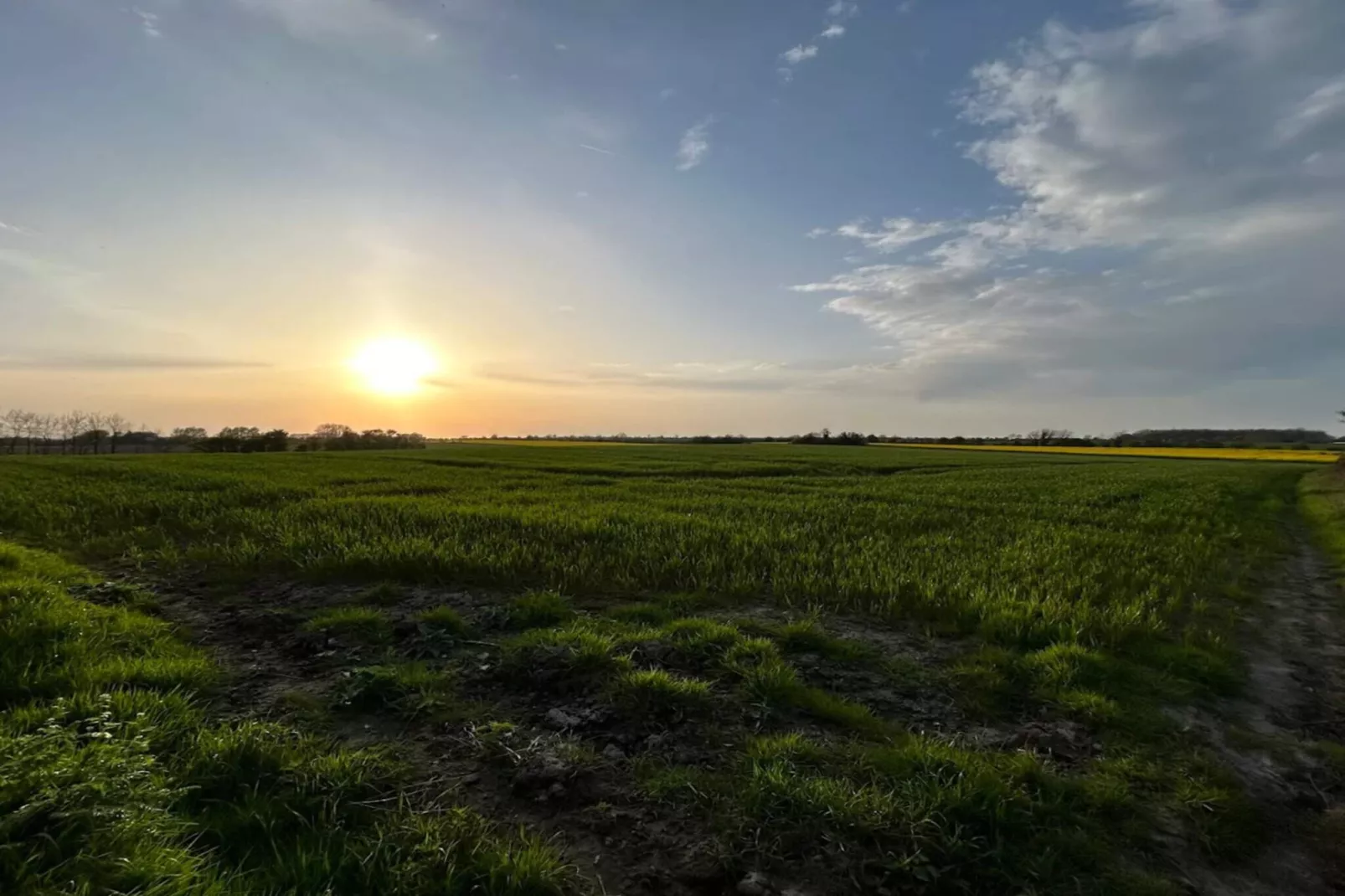 Maison de vacances pour 6 a Haderslev-By Traum-Non tagué