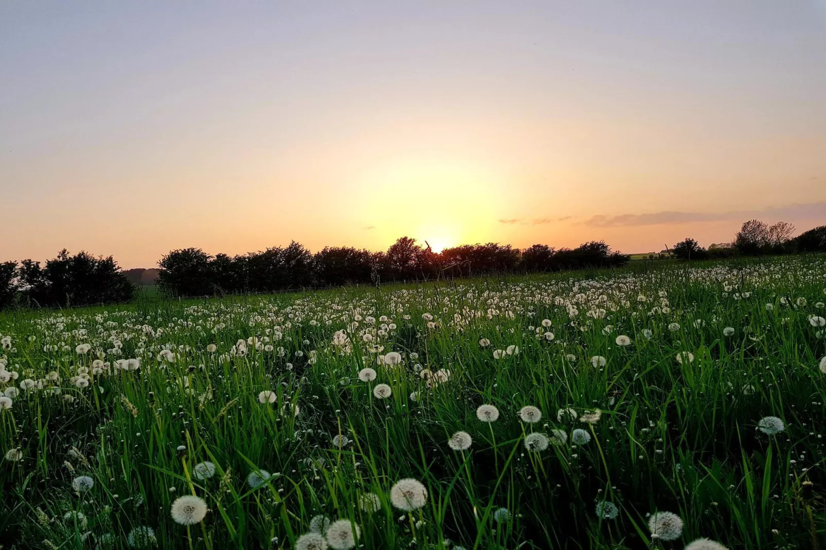 6 person holiday home in Sydals-By Traum