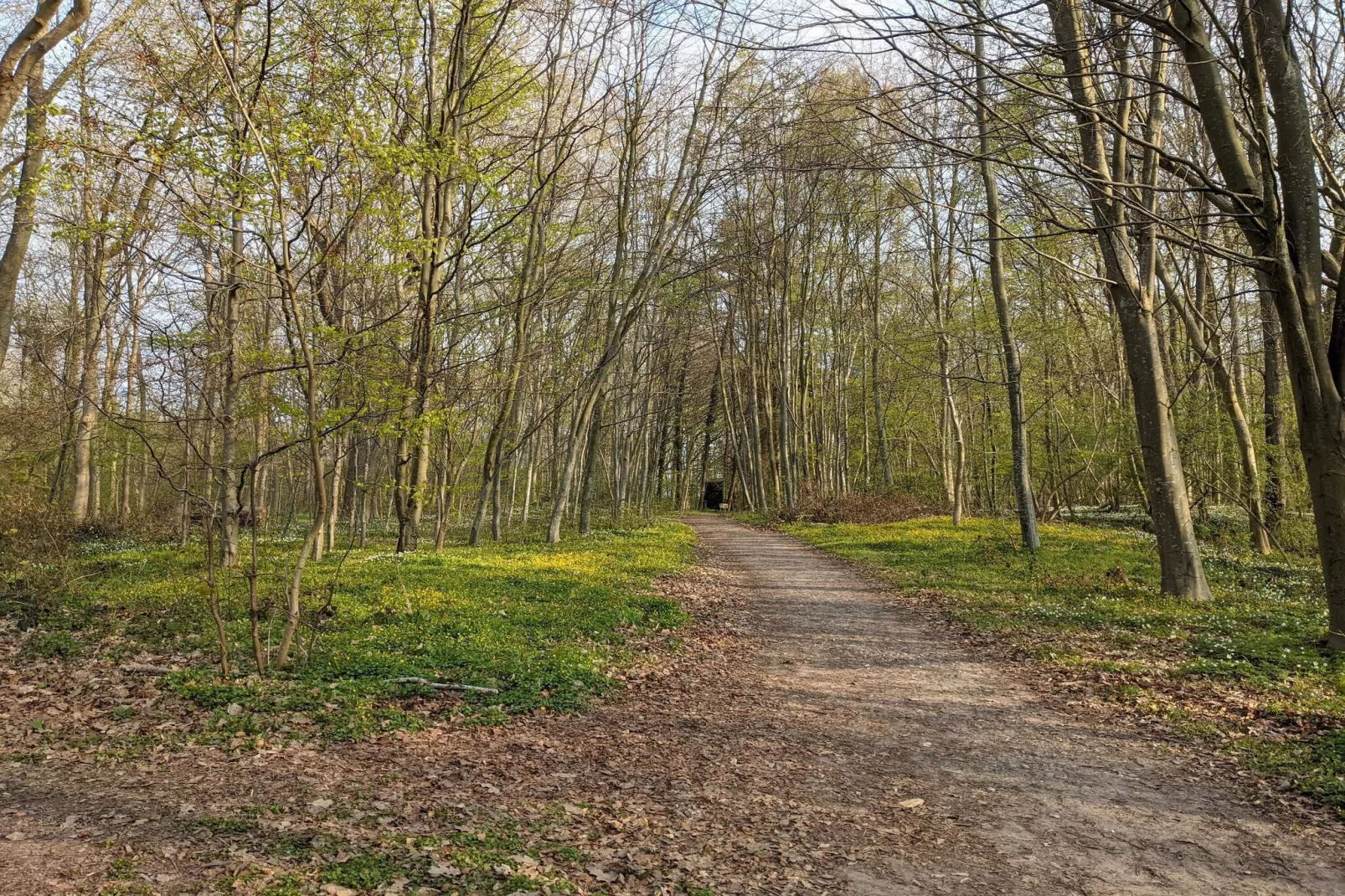 Seaside Retreat with Spa - By Traum Ferienwohnungen