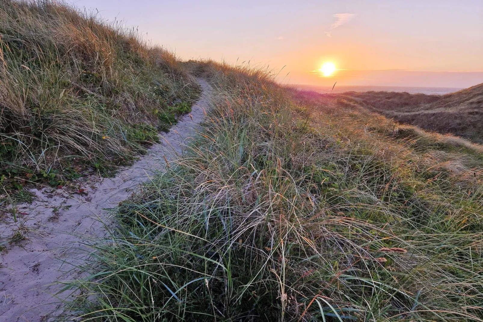 Maison de vacances pour 6 a Hirtshals-By Traum