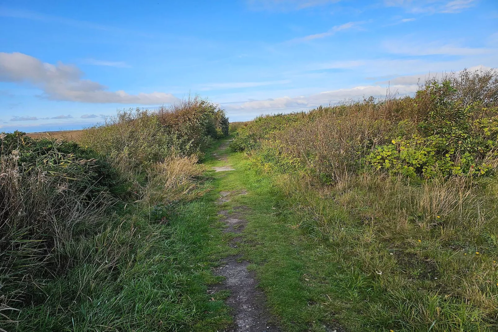 10 person holiday home in Haderslev-By Traum