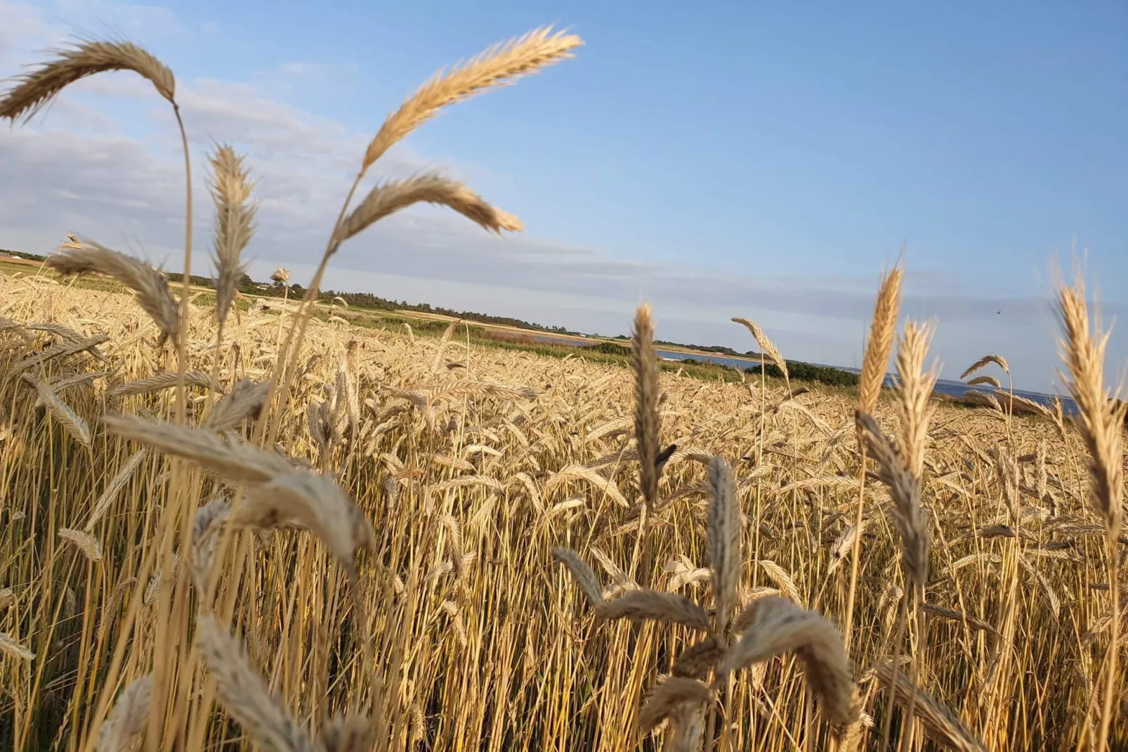 19 Personen Ferienhaus in Løgstør-By Traum-Nicht zugeordnet