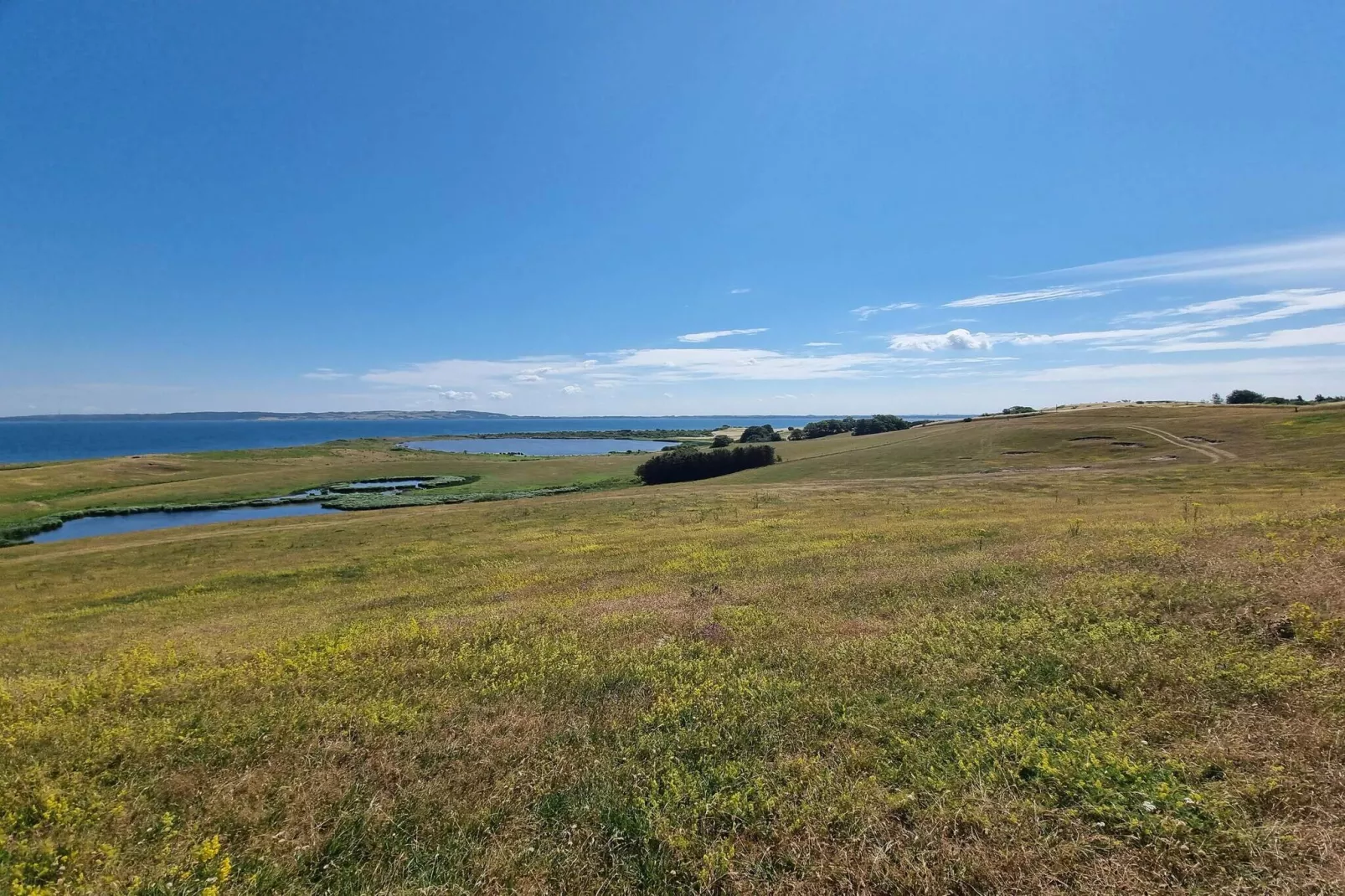 4 Personen Ferienhaus in Føllenslev-By Traum