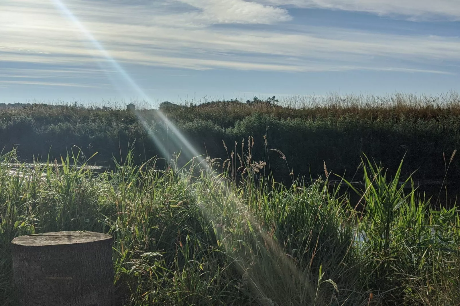 Maison de vacances pour 6 a Brædstrup-By Traum-Non tagué