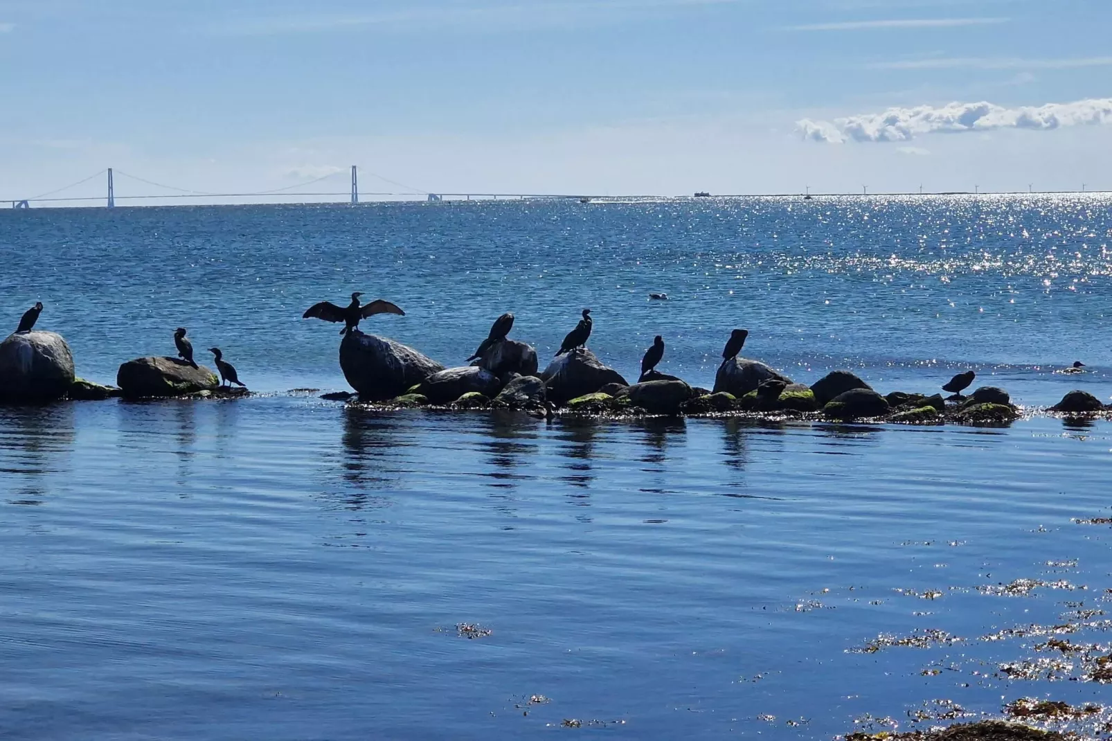 7 person holiday home in Gørlev-By Traum