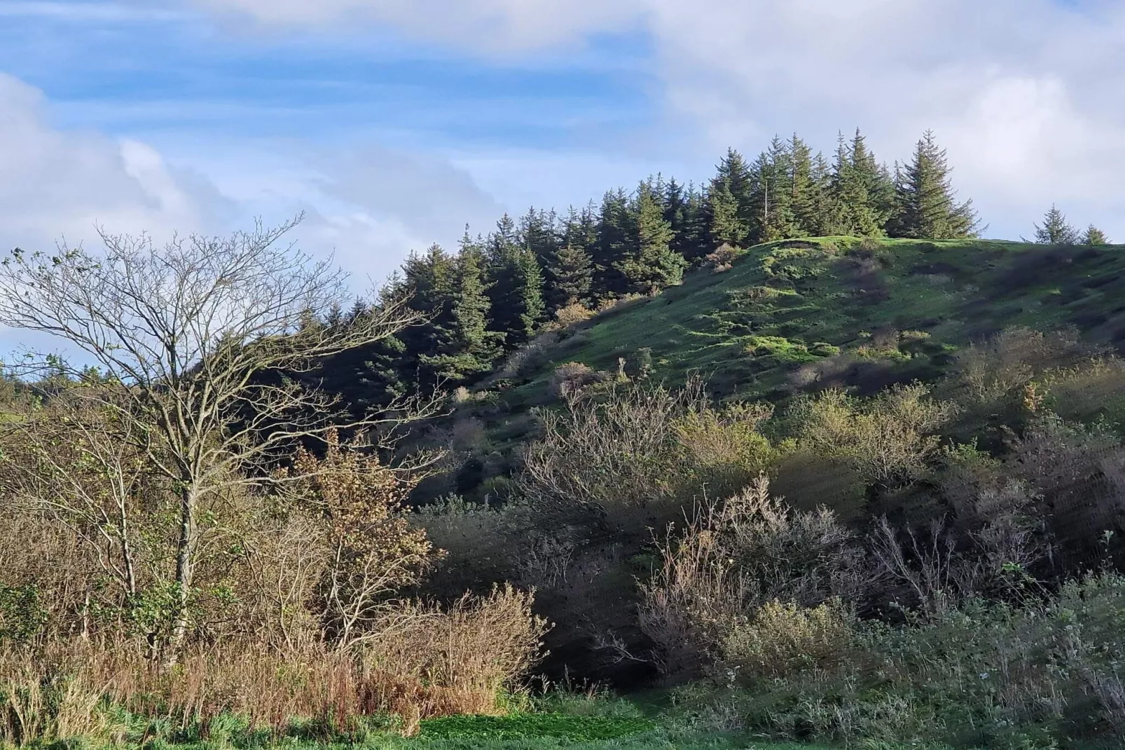 10 Personen Ferienhaus in Brovst