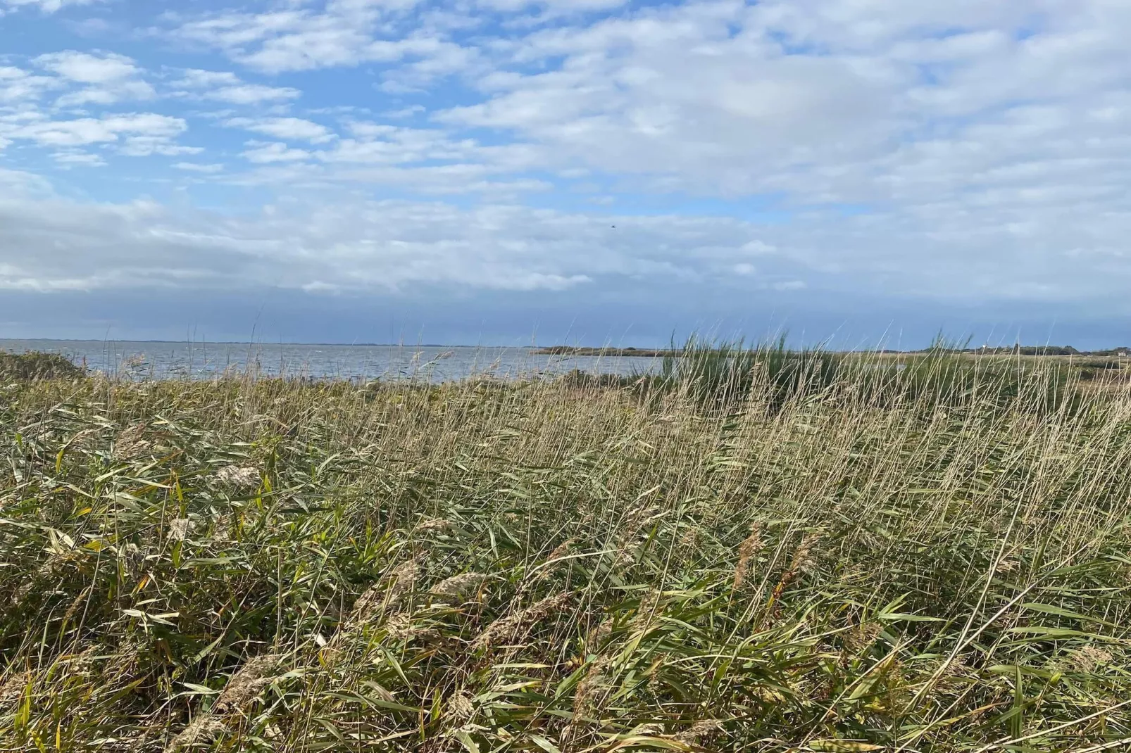 4 Personen Ferienhaus in Skjern-By Traum