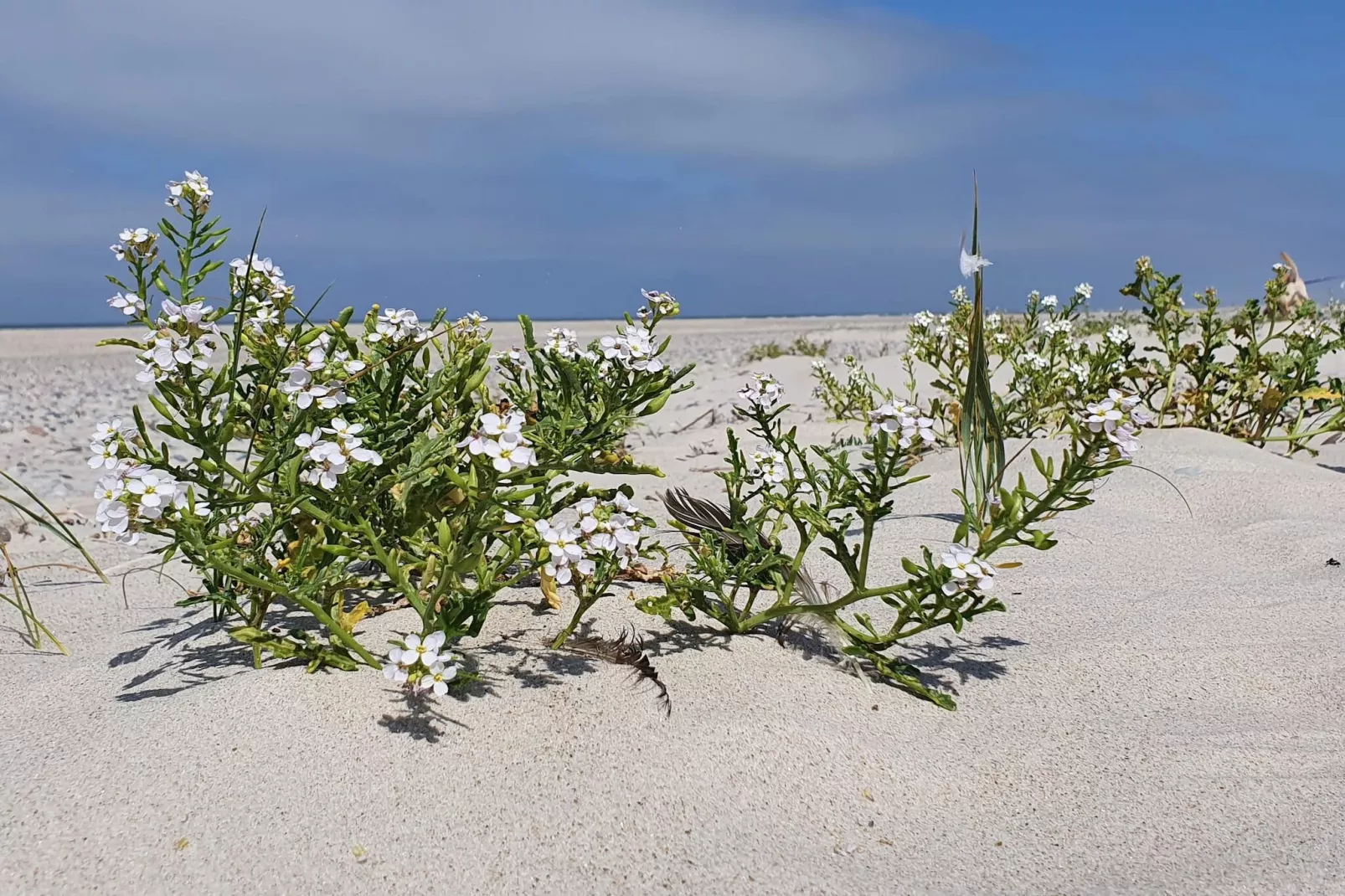 Luxus-Ruckzug mit Pool -- By Traum Ferienwohnungen