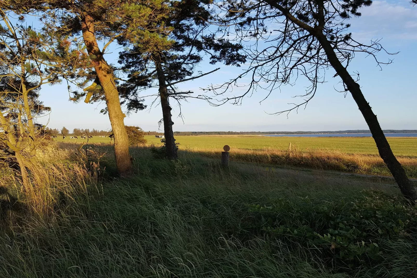 6 person holiday home in Løgstør-By Traum