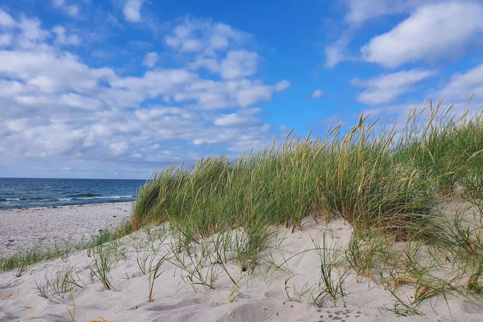 Maison de vacances pour 8 a Rørvig-By Traum-Non tagué