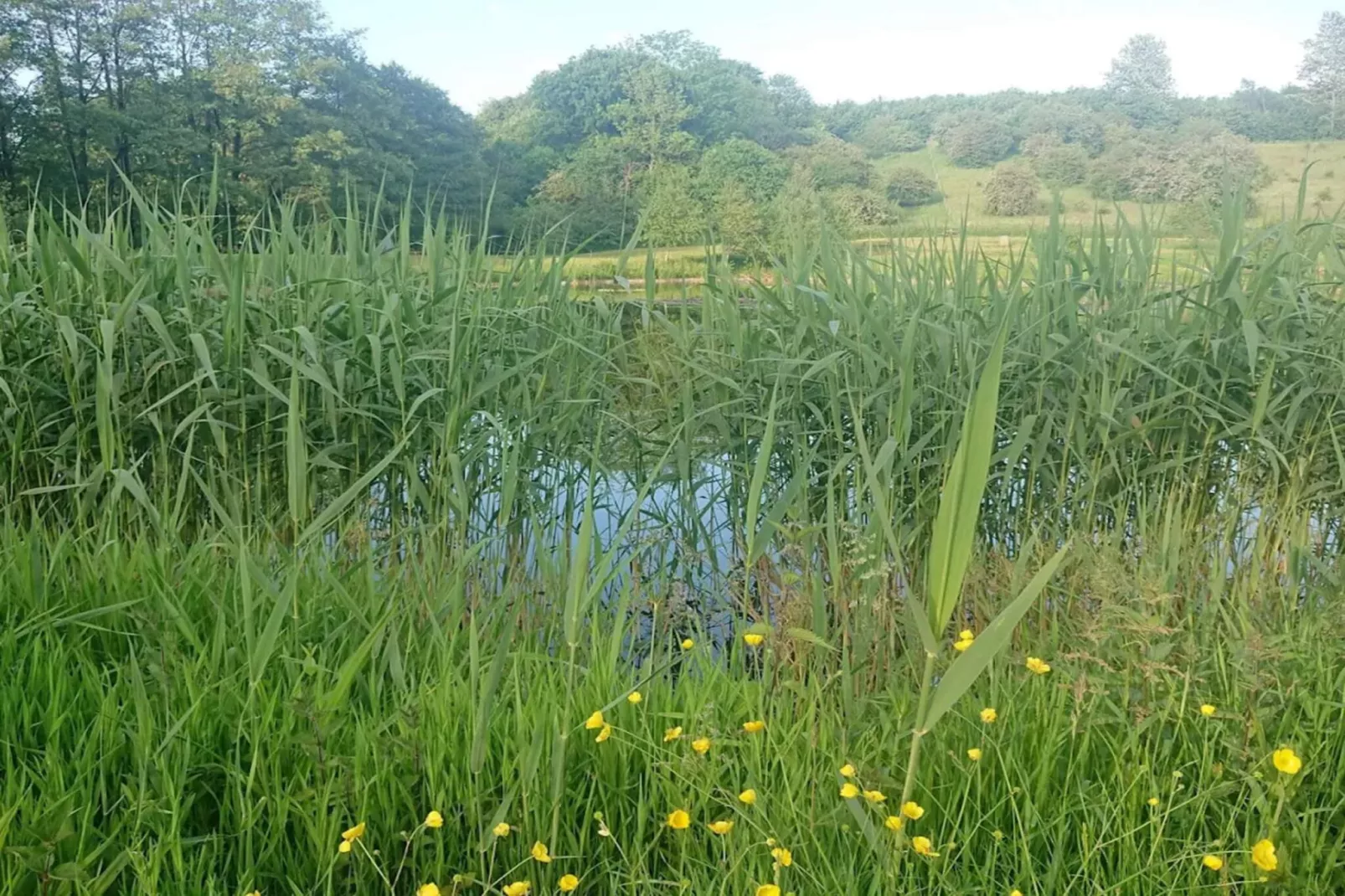 Luxus-Ruckzugsort bei Asbolholm -- By Traum Ferienwohnungen