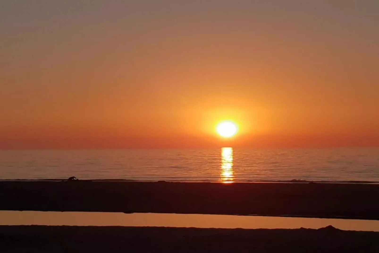 De Zeeuwse Schuur - comfort plus 4 personen-Areas within 20km in summer