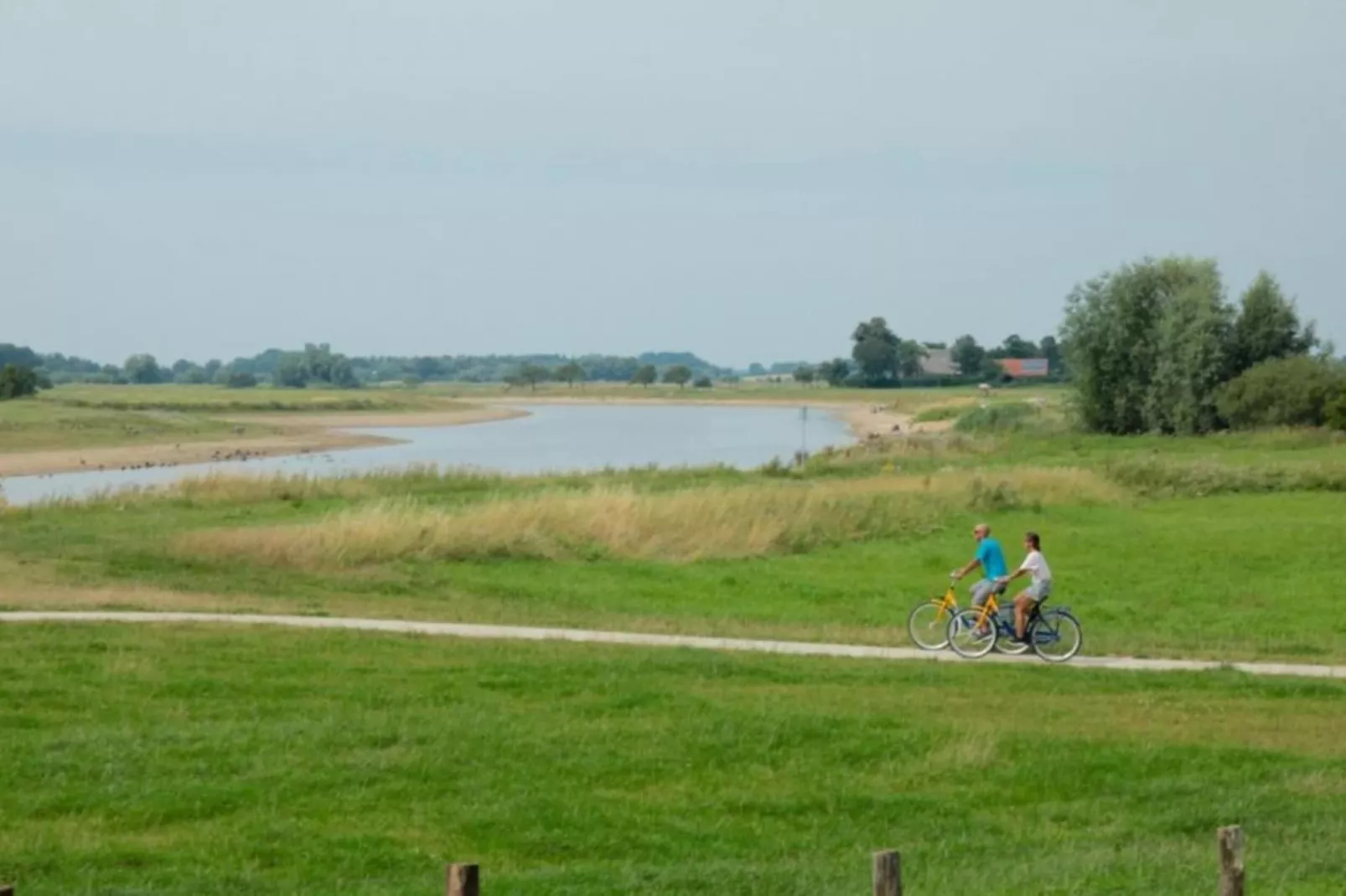 Bospark Markelo 1-Areas within 20km in summer