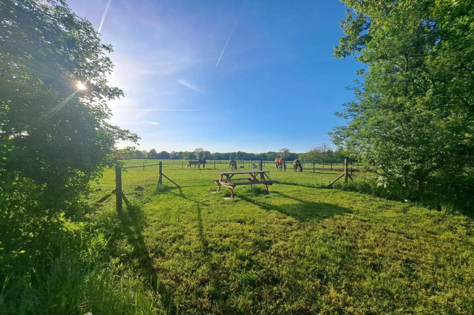 Vakantiepark De Lochemse Berg 1-Areas within 20km in summer