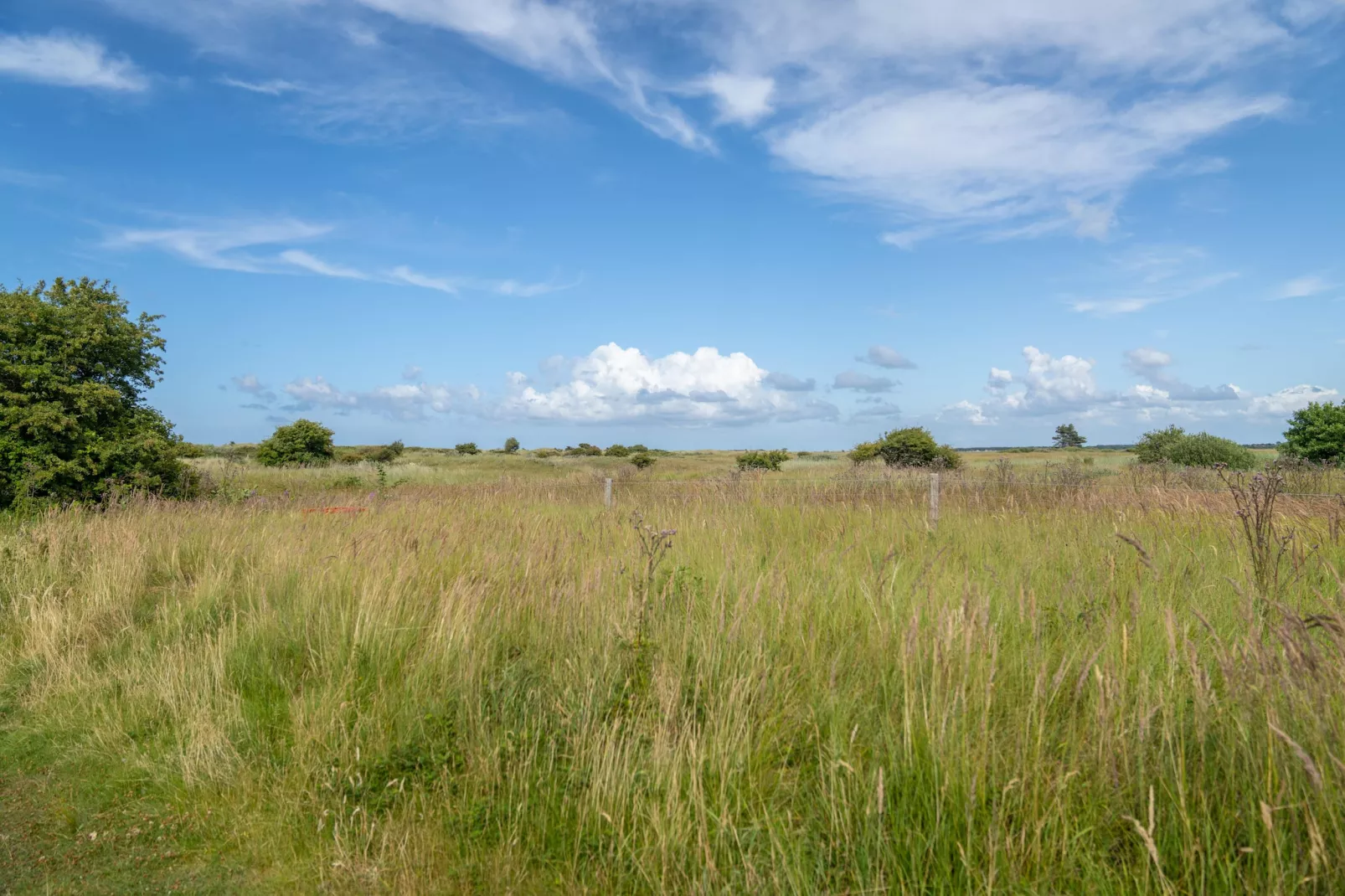 Vakantiepark Boomhiemke 3-Garten Sommer