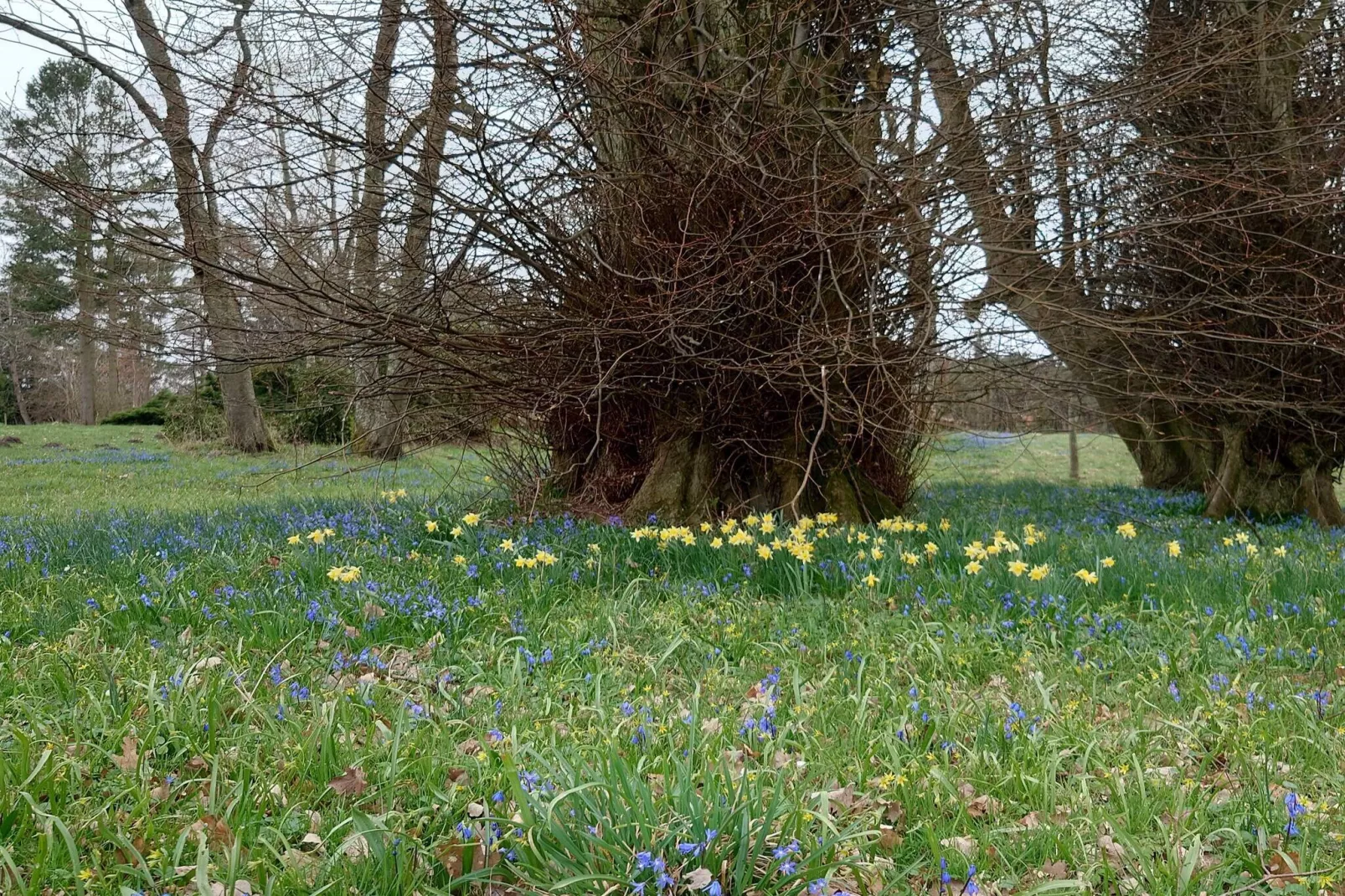 Maison de vacances pour 6 a Glesborg
